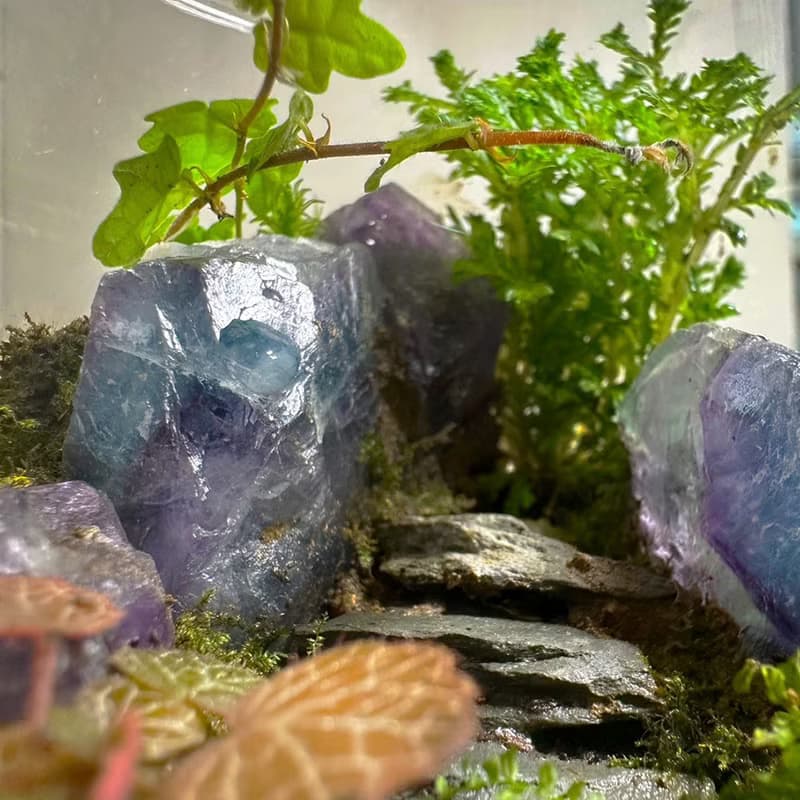 琉光碎境 DIY 體驗包 / 入門款礦石苔蘚瓶