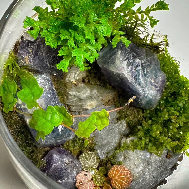 琉光碎境 DIY 體驗包 / 入門款礦石苔蘚瓶
