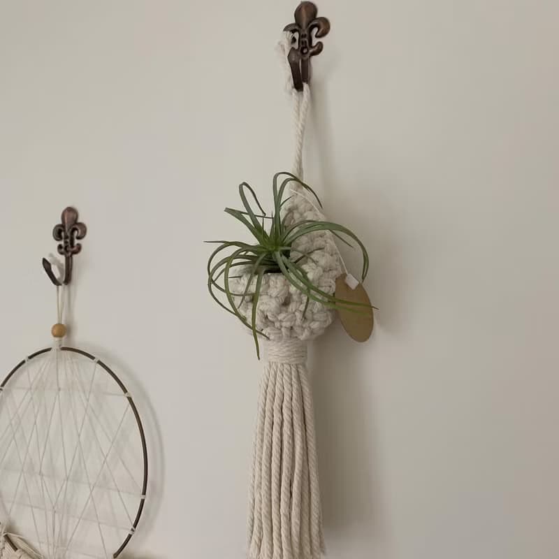 Macrame 編織 水滴 植物 空鳳 仙人掌 掛飾 l 車內室內裝飾