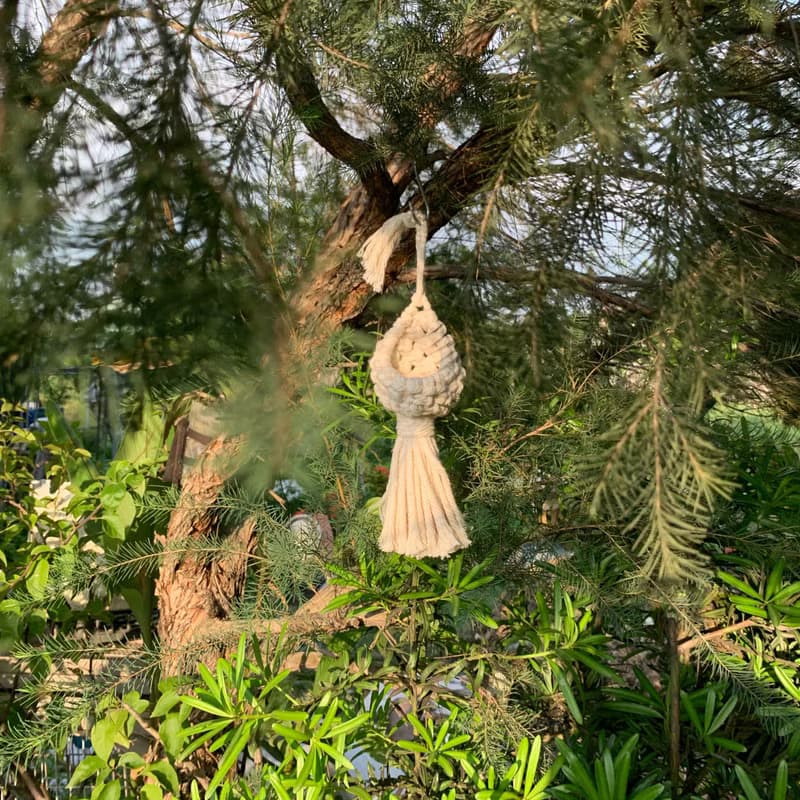 Macrame 編織 水滴 植物 空鳳 仙人掌 掛飾 l 車內室內裝飾