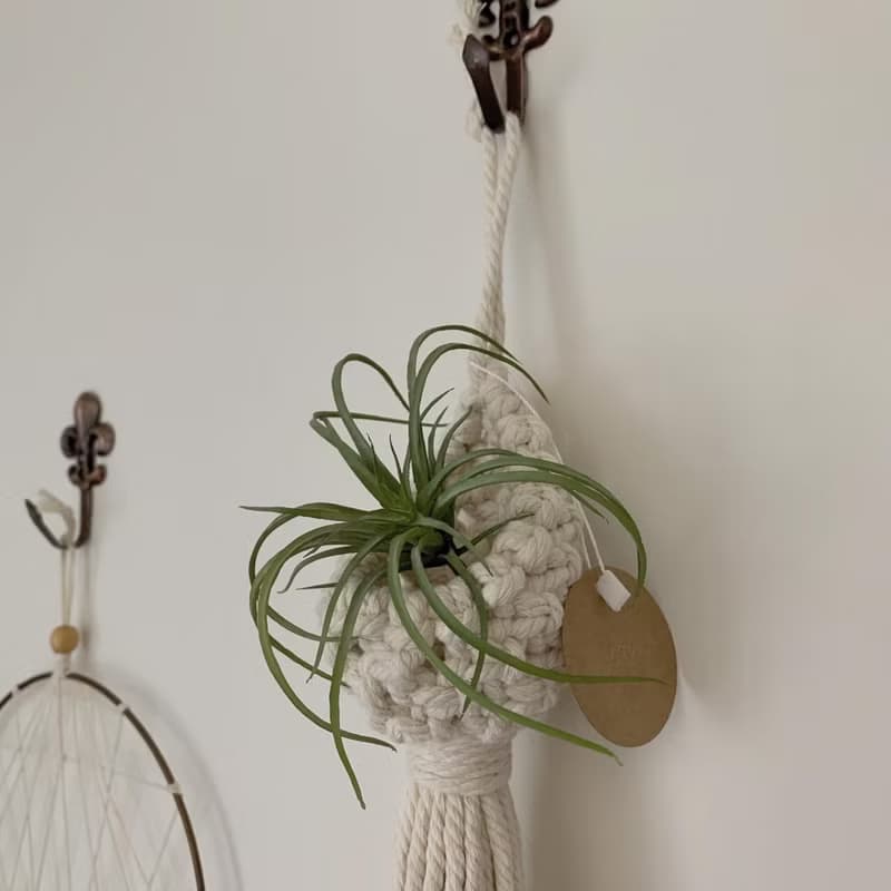 Macrame 編織 水滴 植物 空鳳 仙人掌 掛飾 l 車內室內裝飾