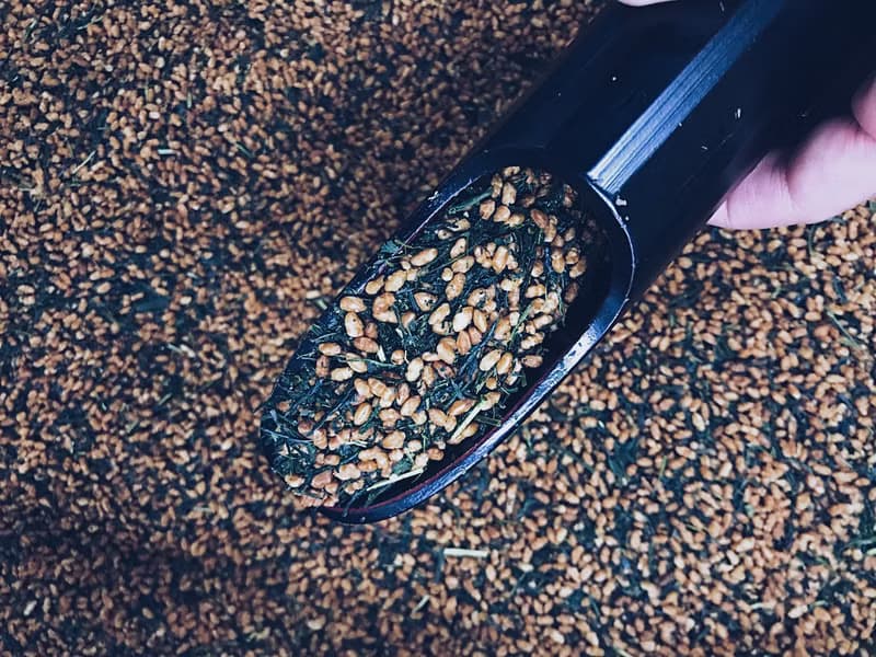 玄米茶 50g