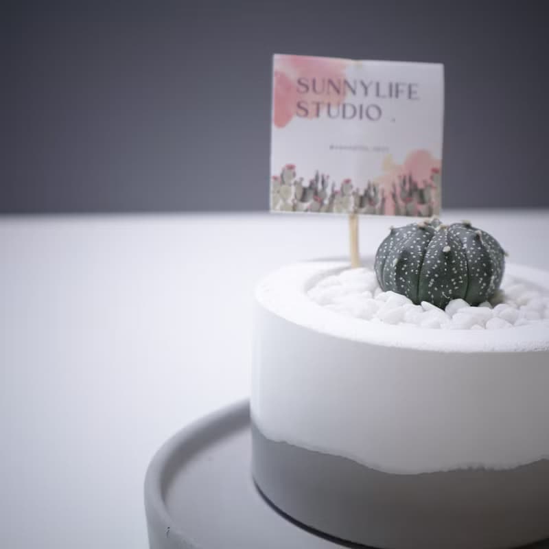 經典圓雪山款水泥盆 / 多肉植物 / 仙人掌 (附小島底盤)