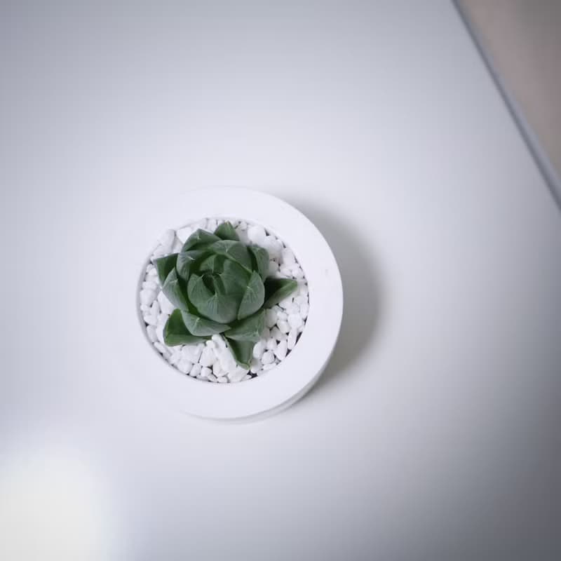 經典圓雪山款水泥盆 / 多肉植物 / 仙人掌 (附小島底盤)