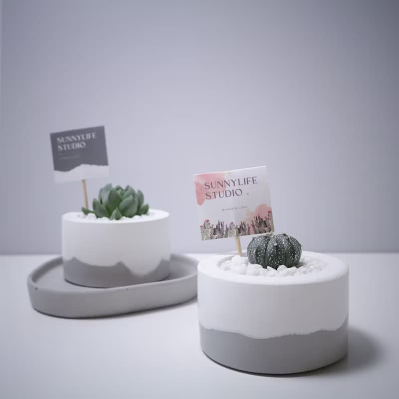 經典圓雪山款水泥盆 / 多肉植物 / 仙人掌 (附小島底盤)