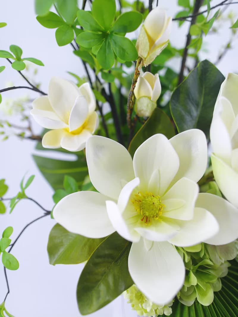 洋玉蘭日本吊鐘樹花禮 免運專人配送限雙北市 其餘地區需補運費