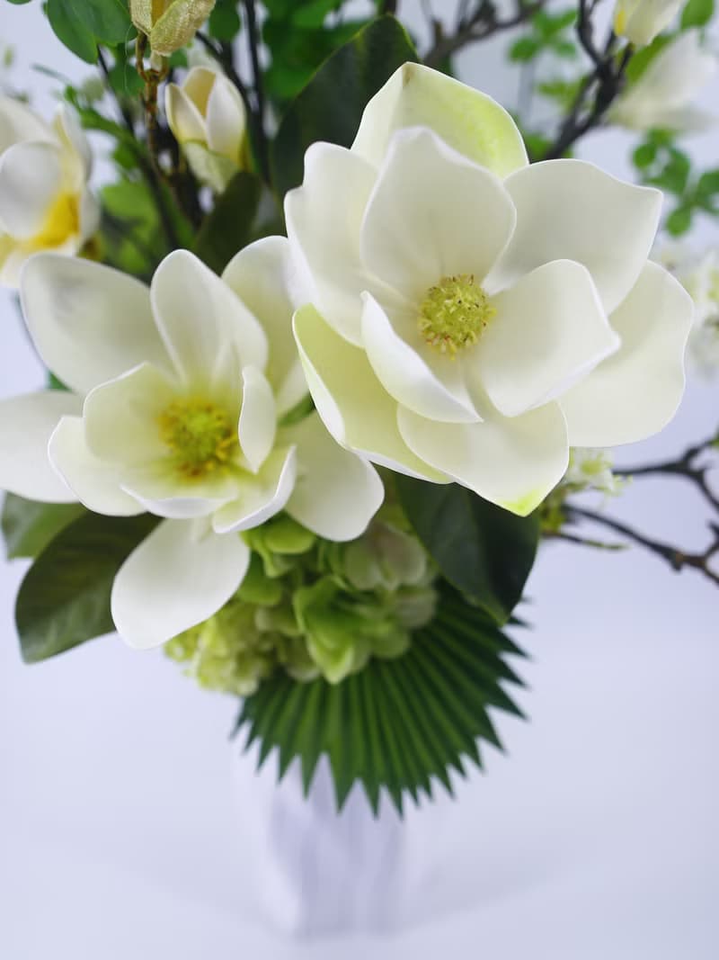 洋玉蘭日本吊鐘樹花禮 免運專人配送限雙北市 其餘地區需補運費