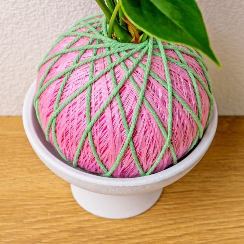 苔球植物 粉紅火鶴粉色苔球加磨砂高腳缽 苔球 苔玉 禮物