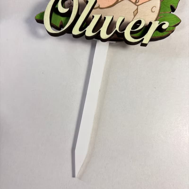 Dino Wood Custom Cake Topper - Hand Painted Birthday Keepsake - Custom Name