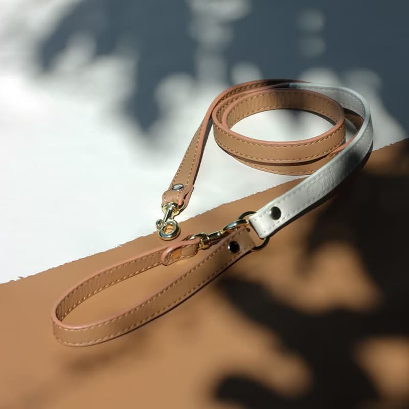 Skin Soft Genuine Leather Pet Leash | Leather Dog Leash, Cat Leash