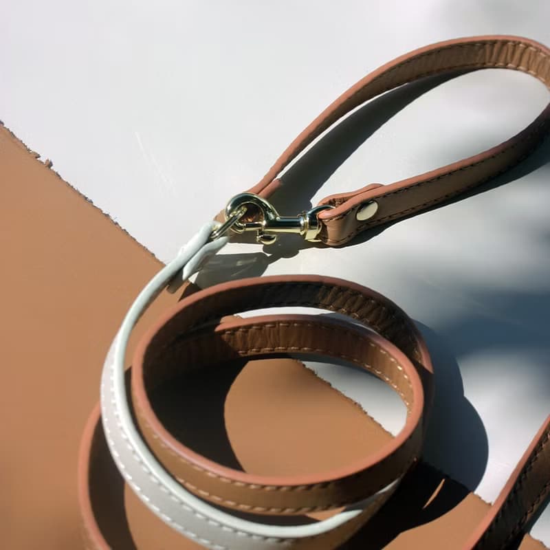 Skin Soft Genuine Leather Pet Leash | Leather Dog Leash, Cat Leash
