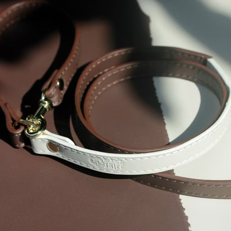 Skin Soft Genuine Leather Pet Leash | Leather Dog Leash, Cat Leash