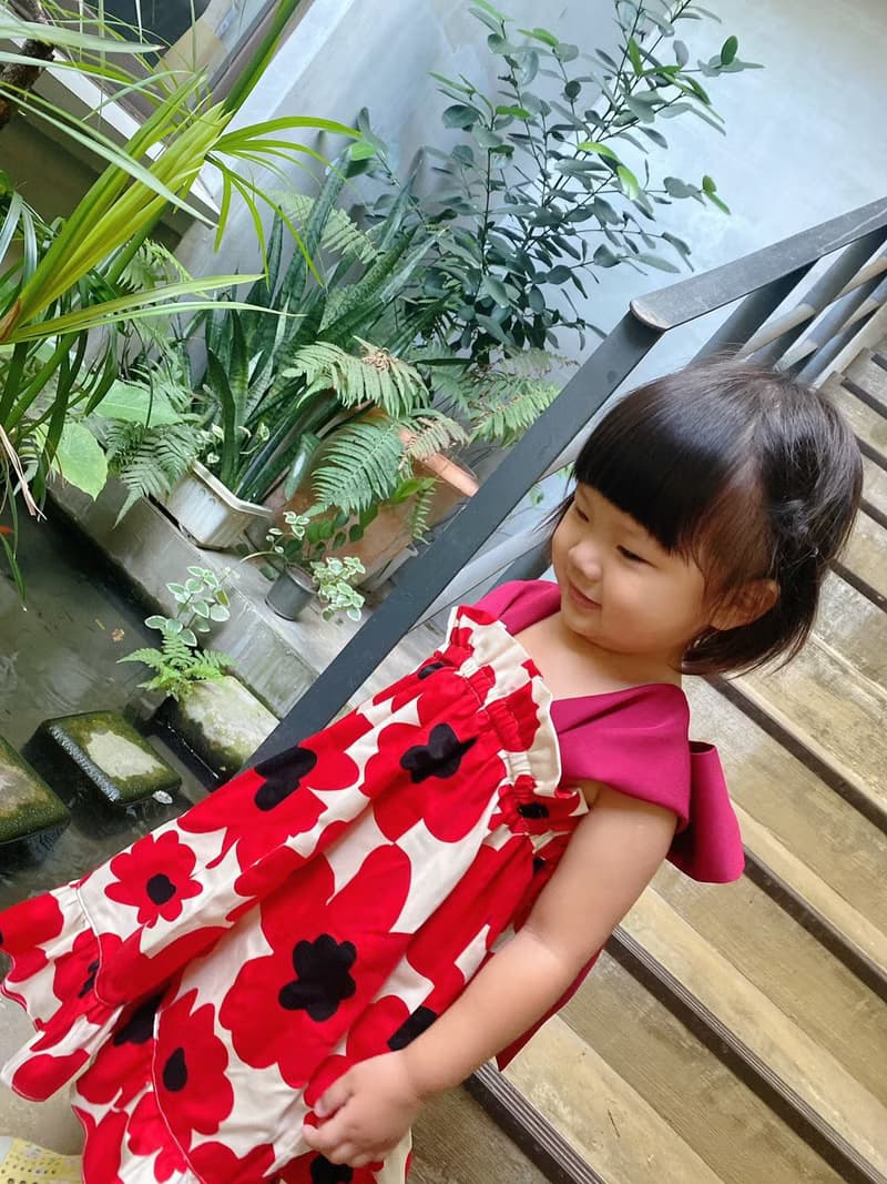 罌粟花 紅 - 揹著蝴蝶洋