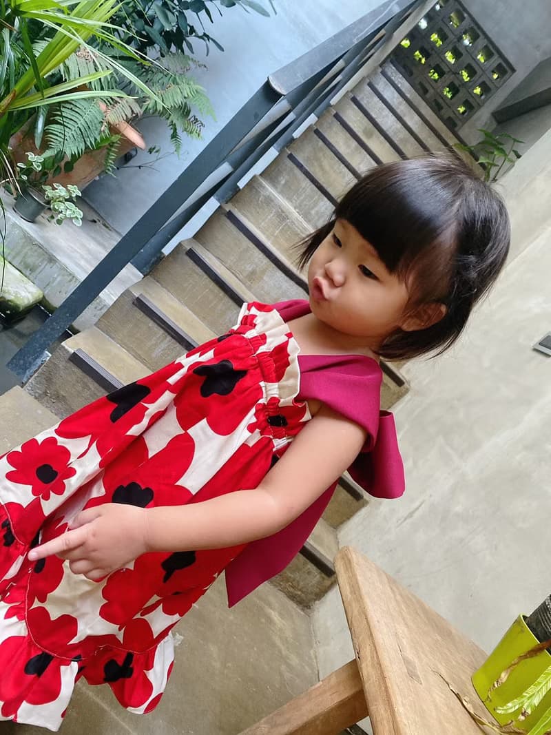 罌粟花 紅 - 揹著蝴蝶洋