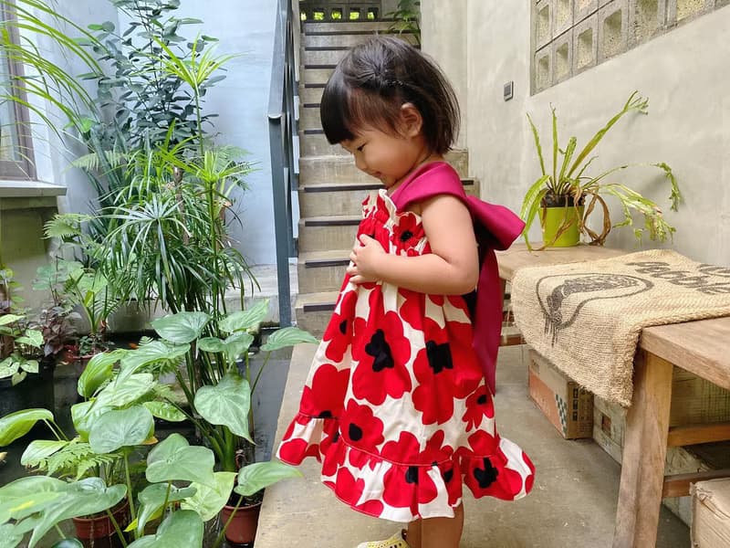 罌粟花 紅 - 揹著蝴蝶洋