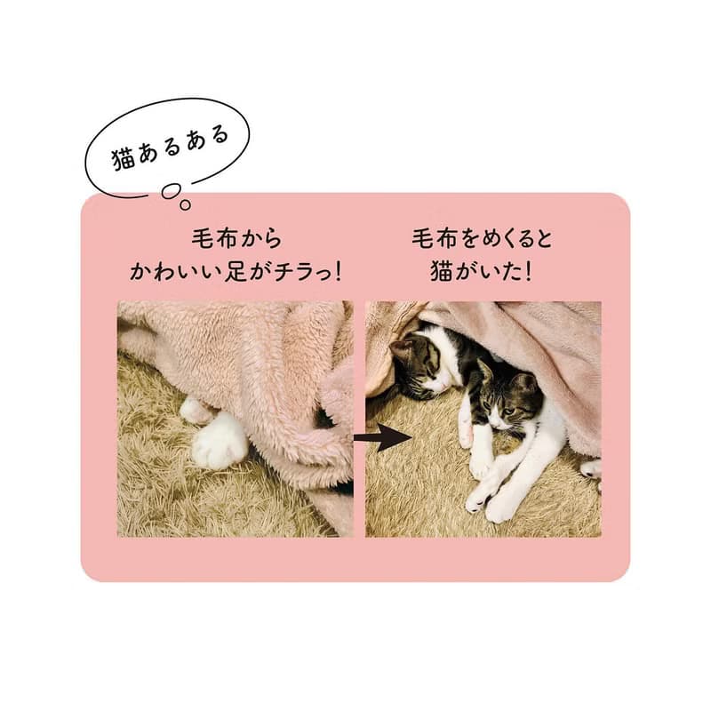 【貓部】躲在棉被裡的貓兒造型方巾手帕