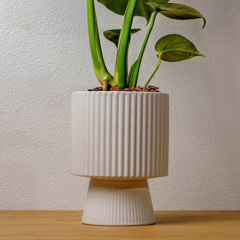 龜背芋白色高腳陶盆 桌上盆栽 室內植物 禮物