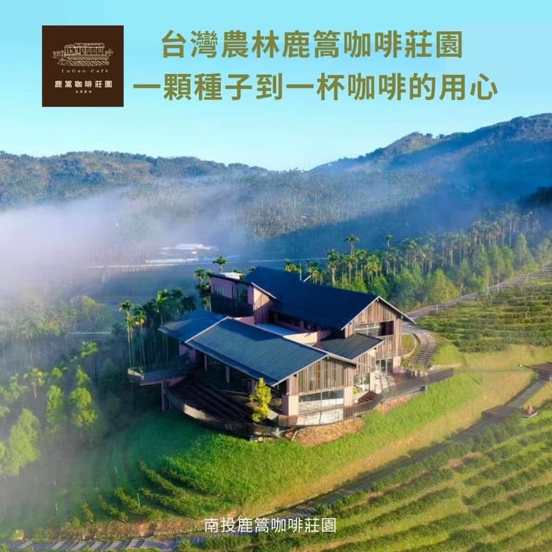 鹿篙濾掛咖啡 台灣豆(10gx5入/粉紅盒/中焙/五款風味) 台灣農林