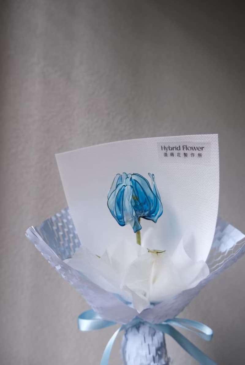 靜藍單朵鬱金香花束