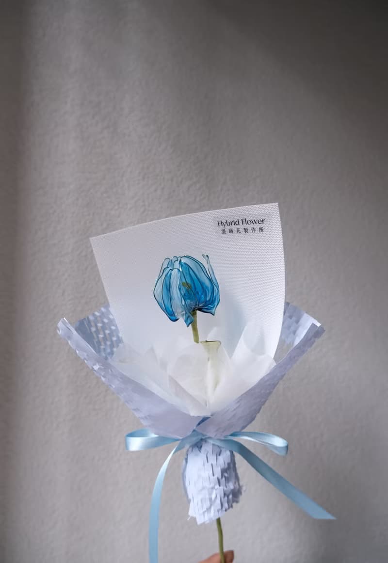 靜藍單朵鬱金香花束