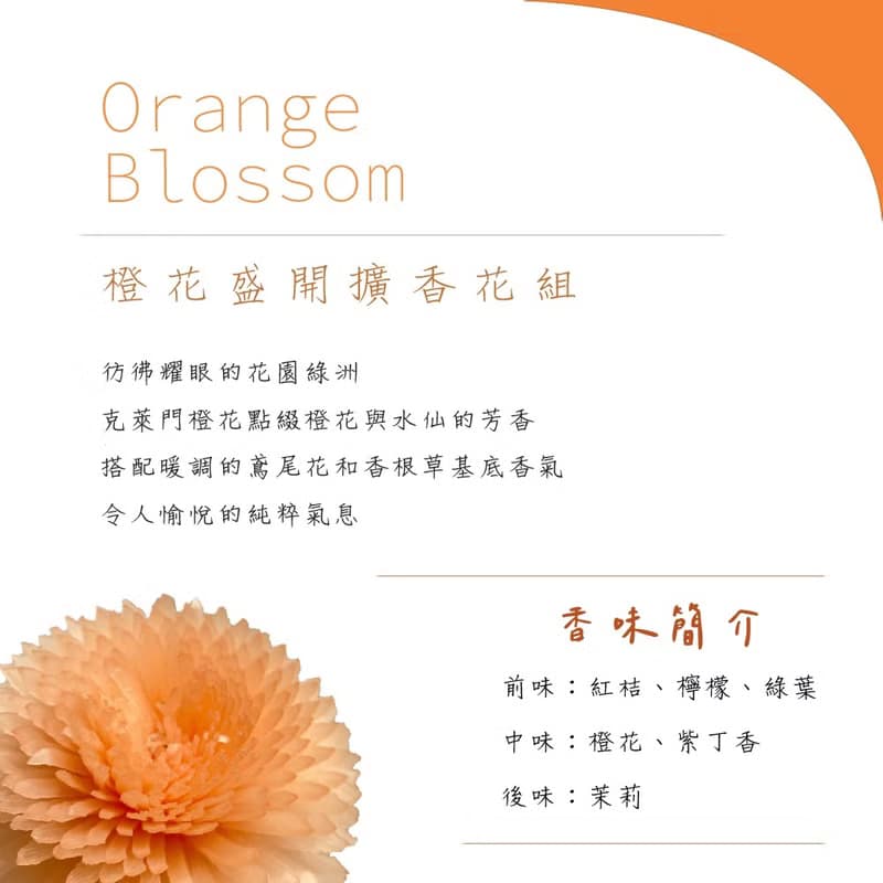 彩色香水擴香花 - 橙花盛開【全新上架】