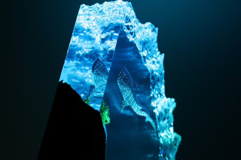 深海豆腐鯊、樹酯實木夜燈、辦公室桌面擺件、居家藝術雕塑、精品