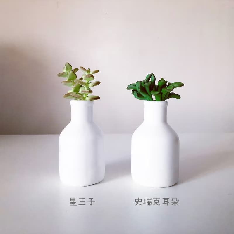 星王子 史瑞克耳朵 半釉白瓷小瓶 共2款。仿真黏土多肉植物