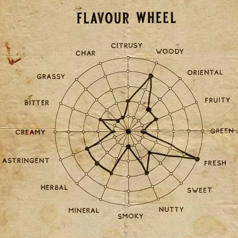 Senteur Lab-純茗流光系列茶香水50ml - 峽谷晨霧