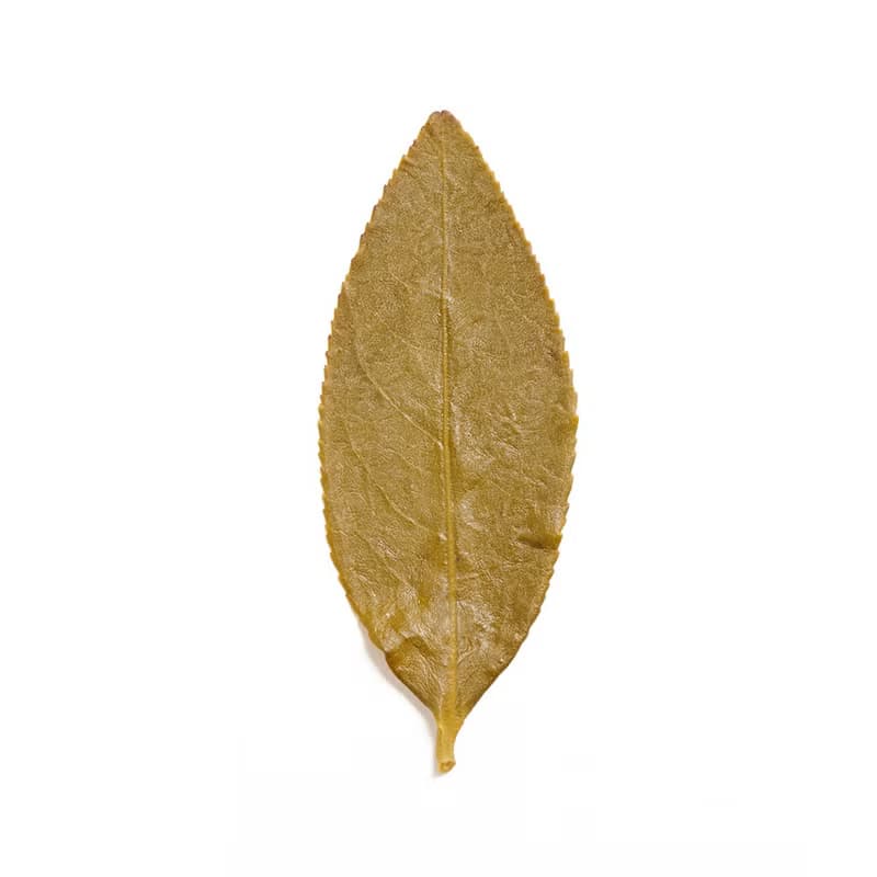 【得獎2星茶品】羽曦堂-龍咆威鳴(頂級大禹嶺)原葉茶包 15入