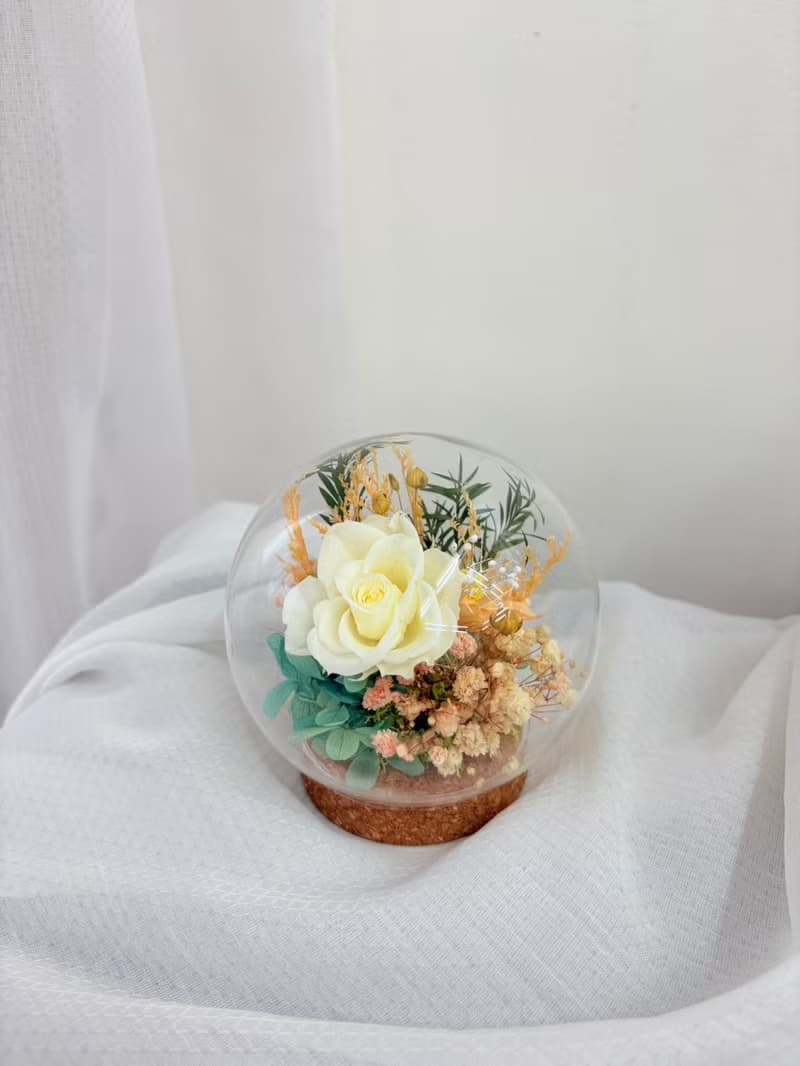 永生玫瑰小玻璃罩盅 永生玫瑰  永生花