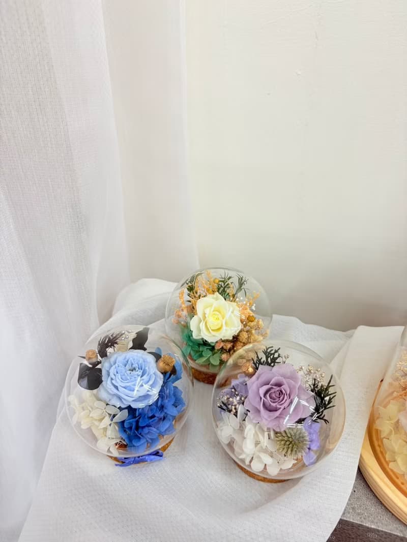 永生玫瑰小玻璃罩盅 永生玫瑰  永生花