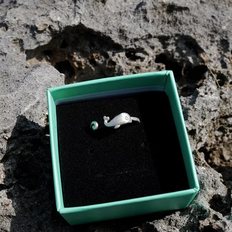 貪玩鯨魚 PLAYFUL WHALE