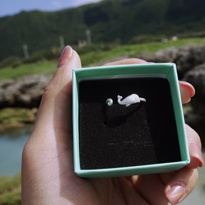 貪玩鯨魚 PLAYFUL WHALE