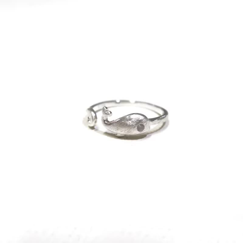 貪玩鯨魚 PLAYFUL WHALE