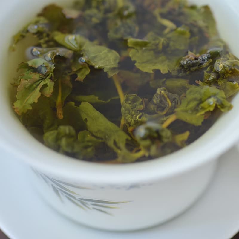 翠玉烏龍茶 －南投鮮採清香翠玉茶人氣口碑推薦