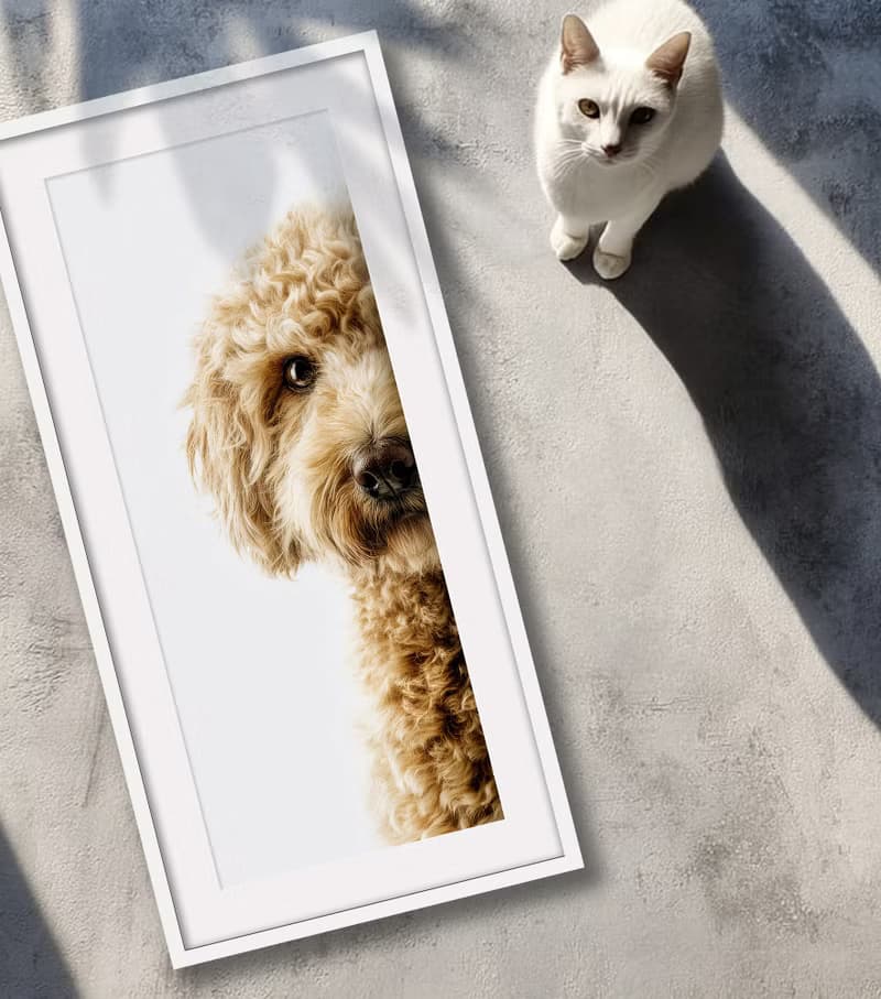 裝飾畫-附畫框 | 入厝禮| 掛畫| 民宿佈置|  室內設計| 海報