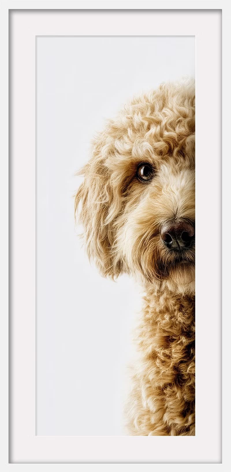 裝飾畫-附畫框 | 入厝禮| 掛畫| 民宿佈置|  室內設計| 海報