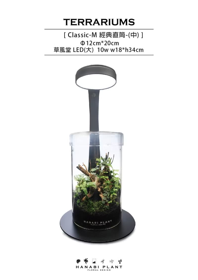 【訂製】蕨醒經典生態瓶-經典直筒(中)