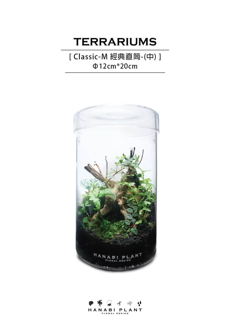 【訂製】蕨醒經典生態瓶-經典直筒(中)