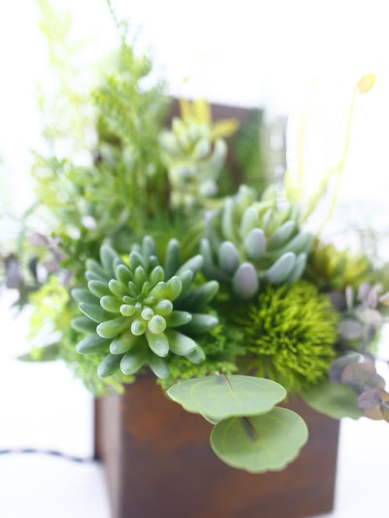 高擬真多肉植物鏽鐵燈 免運專人配送限雙北市 其餘地區需補運費