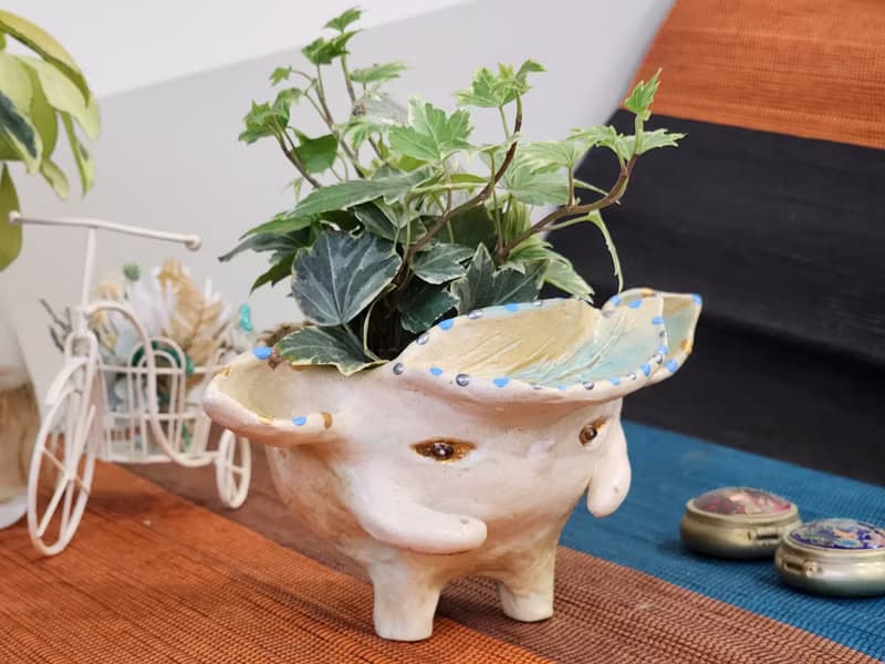 葉髮流森林精靈*陶製盆器*開幕.新居.升遷.生日.盆栽賀禮