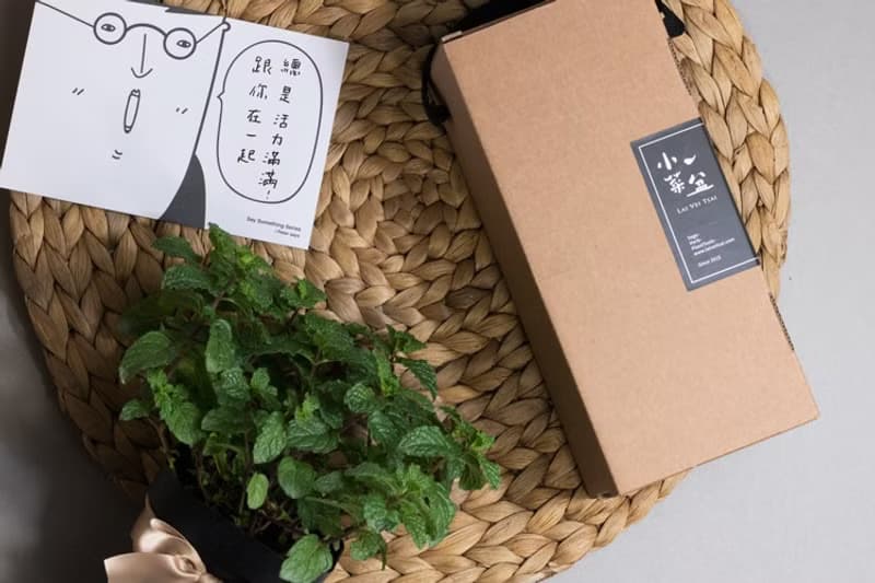 香橙薄荷+尼德蘭薄荷清新泡茶組合