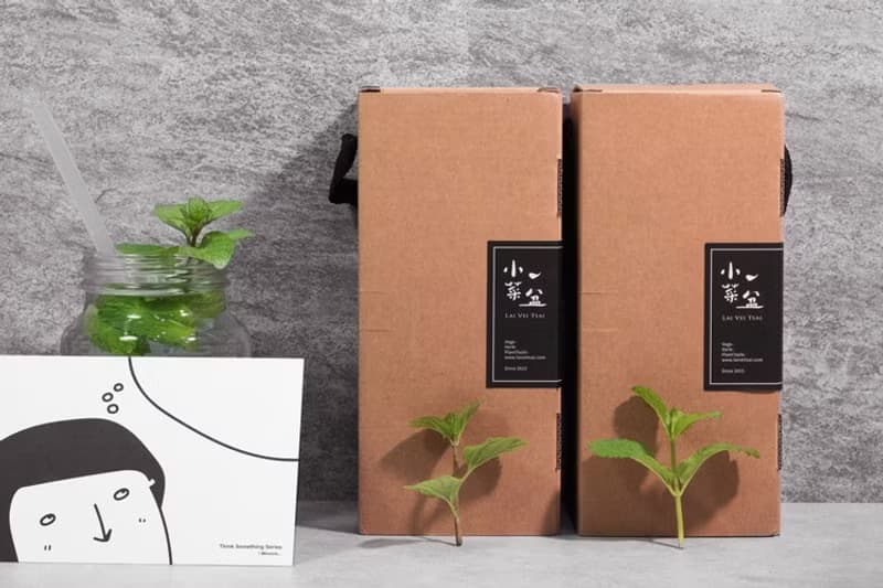 香橙薄荷+尼德蘭薄荷清新泡茶組合
