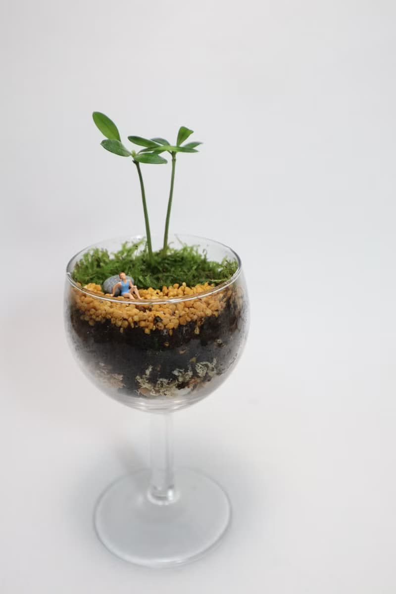 【微景觀】海濱日常－盆栽/苔蘚植物/禮物/沙灘/度假