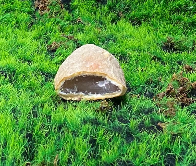 能量擺飾-天然瑪瑙招財小晶洞 財運水晶 避邪保平安 快速出貨