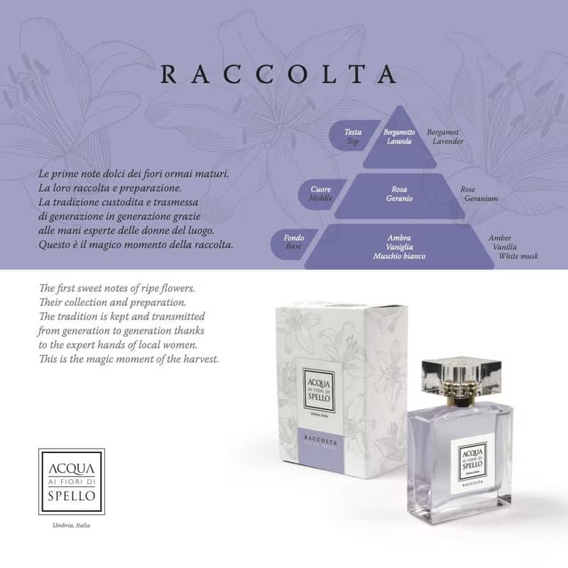 Acqua di Spello香水系列: RACCOLTA