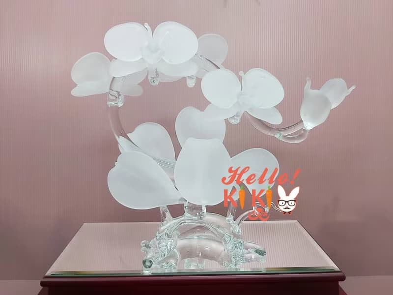 台灣蝴蝶蘭 水晶砂 開幕禮物 升遷禮物 退休送禮 新婚送禮 新居