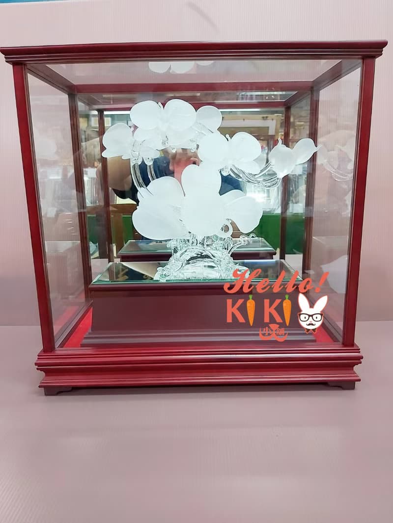 台灣蝴蝶蘭 水晶砂 開幕禮物 升遷禮物 退休送禮 新婚送禮 新居