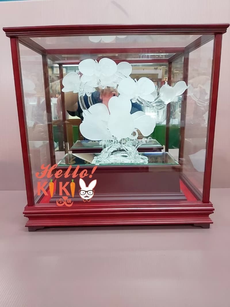 台灣蝴蝶蘭 水晶砂 開幕禮物 升遷禮物 退休送禮 新婚送禮 新居