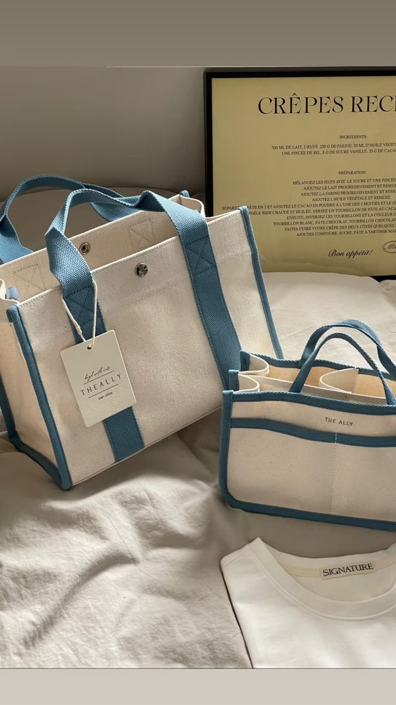 韓國 The Ally | LUNA BAG (附內袋)| 藍色 | 手袋 單肩包